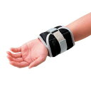 ギフト 敬老の日 プレゼント トレーニング リハビリ 運動 訓練 体力 筋力 筋トレ 負荷 重り バンド 淡野製作所 アジャストウェイトDX / 0.5kg×2...