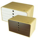 A4 FILE CASE