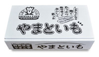 大和芋 1kg詰め BOX 島田ファーム産 群馬 群馬県産 とろろ ヤマトイモ ヤマト芋 やまと芋 やまといも ギフト 通販 販売 おすすめ 人気