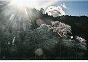 秋元隆良 奇跡の写真 薄墨桜 山の神 開運アート 開運アイテム 開運グッズ 龍 絵 画像 写真 開運 幸運 開運インテリア 運気アップ 開運フォト 開運写真 ス...
