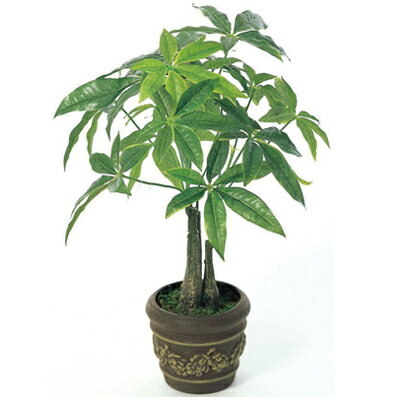 【直送品】【代引き不可】光の楽園 パキラポットM 造花 人工観葉 フェイクグリーン 光触媒 観葉植物 光触媒造花 ギフト プレゼント 贈り物 お祝い 贈答品 新築祝い 開店祝い 引越し祝い 母の日 父の日 敬老の日 誕生日 プレゼント ギフト 贈り物 グッズ おすすめ 人気 通販