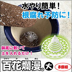 ɴ���̡ �� 8���� ����ȭ �ץ�󥿡� ȭ �����ͽ�� ȭ��ͥå� ������ɻ� ���� ���� ������ �����ǥ˥����� ��� ������� ���å� �������� ���� �͵�