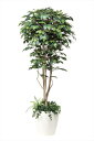 【直送品】【代引き不可】フィカスベンジャミン1.8m 植栽付 508A450-28 人工観葉 フェイクグリーン 造花 観葉植物 人工 光触媒 人工観葉植物 ギフ...