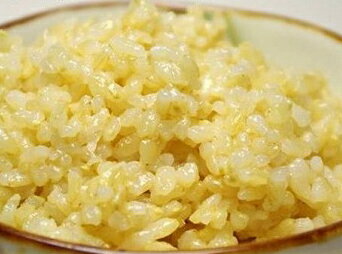 玄米 玄氣 1.5kg GABA ギャバ 米 無洗米 母の日 父の日 敬老の日 プレゼント ギフト  ...