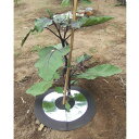 【5個ご注文で1個オマケ!】虫よけ しきわらいらず 6枚組ピン付 ガーデニング用品 園芸用品 敷き藁いらず 敷き藁 代用 代用品 代わり 敷きわら 害虫 予防 対策 ガード グッズ おすすめ 通販 人気