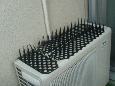 ��ľ���ʡۡ�������Բġۥϥȡ����饹��Ļ�������� �Ȥ��ԡ� 10������ ��Ļ���� �����к��� Ļ���к� Ļ���к����å� Ļ�褱 ���饹�褱 Ļ�� �к� ǭ �٥��� �����ǥ˥� ���å� �������� ���� �͵�