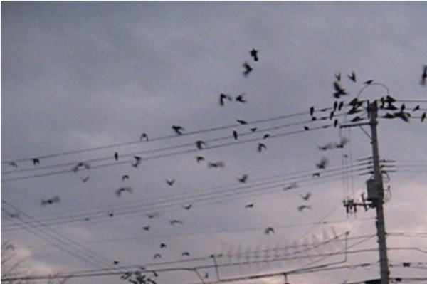 ���饹���ॷ���� 2����