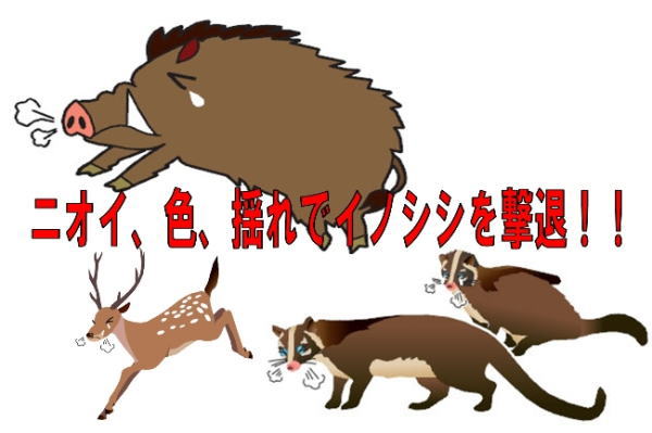 ���Υ������ॷ���� 6������