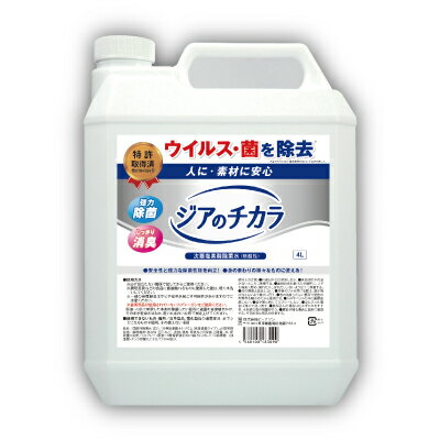 ジアのチカラ 4L×2個セット 除菌剤 ウイルス対策 次亜塩