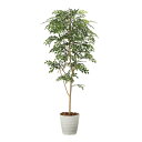 【直送品】【代引き不可】光の楽園 トネリコ 1.8m 2094A350 造花 人工観葉植物 人工観葉 フェイクグリーン 光触媒 V-CAT 光触媒造花 光触媒観...