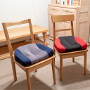 【直送品】【代引き不可】ディープ6 クッション 股関節 ディープシックス 丸菱工業 佐藤正裕 インナーマッスル 股関節ケア 内閉鎖筋 外閉鎖筋 上双子筋 下双子筋 大腿方形筋 梨状筋 日本製 国産 母の日 父の日 敬老の日 誕生日 プレゼント ギフト 贈り物 おすすめ 人気