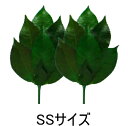 【ネコポス】【送料無料】プリザーブド 榊 さかき SSサイズ 神棚 枯れない 枯れない榊 プリザーブドフラワー ブリザード プリザーブド榊 造花 水替え不要 日...