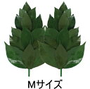 【ネコポス】【送料無料】プリザーブド 榊 さかき Mサイズ 神棚 枯れない 枯れない榊 プリザーブドフラワー ブリザード プリザーブド榊 造花 水替え不要 日本...