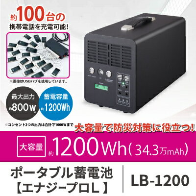 【代引き不可】ポータブル蓄電池 エナジープロL LB-1200 充電器 コンパクト蓄電池 ポータブル電源 蓄電池 家庭用 停電 災害 非常時 家庭用蓄電池 屋内 屋外 車中泊 テレワーク スマホ スマートフォン 充電