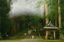 秋元隆良 奇跡の写真 聖なる森の七福神 開運アート 開運アイテム 開運グッズ 絵 画像 写真 開運 幸運 開運インテリア 運気アップ 開運フォト 開運写真 スピ...