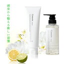 crescera クレセラ ノンシリコン シャンプー/トリートメント ヘルスケア Shampoo Treatment 国産 日本製 サロン専売工場 アミノ酸 頭皮ケア サロン ハリ コシ ツヤ 頭皮マッサージ 頭皮ケア 頭皮 潤い 髪 ダメージ キューティクル 補修 低刺激 メンズ レディース おすすめ