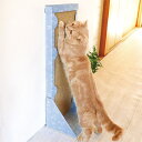 背中のびのび縦型爪とぎ 猫用爪とぎ 爪ケア用品 ペット用お手入れ用品 ペットグッズ 爪とぎ 猫用 ペット用爪とぎ 猫 ねこ ダンボール 段ボール 爪みがき 壁面 つめとぎ ロング 爪砥ぎ つめみがき 猫グッズ 猫用品 ペット用品 お手入れ用品 猫グッズ おすすめ 人気