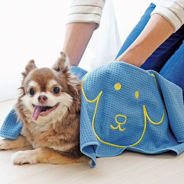 【ネコポス】ペットが拭きやすい手が入るタオル×2個セット ペット用タオル ペット...