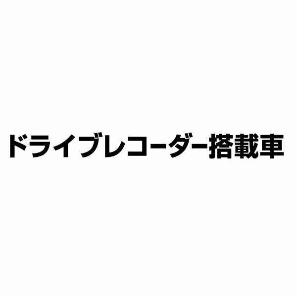 ドライブレコーダー搭載車 07 カッティングステッカー 3枚組 幅約18cm×高約1.7cm ハンドメイド