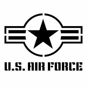 樂天商城 - U.S. AIR FORCE 084 UFS カッティングステッカー 大判Lサイズ 2枚組 幅約27cm×高約19.8cm ハンドメイド デカール ミリタリーステッカー