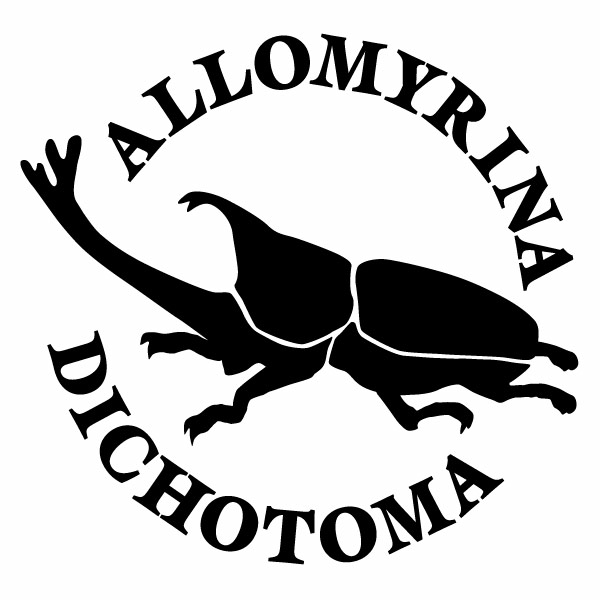 カブトムシ Ver.045 カッティングステッカー 大判Lサイズ 2枚組 幅約26.5cm×高約25.2cm ALLOMYRINA DICHOTOMA ハンドメイド