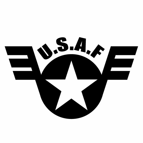 U.S.A.F ver.058 Tフェザー カッティングステッカー 2枚組 幅約18cm×高約11cm ハンドメイド デカール アーミー アメリカ空軍