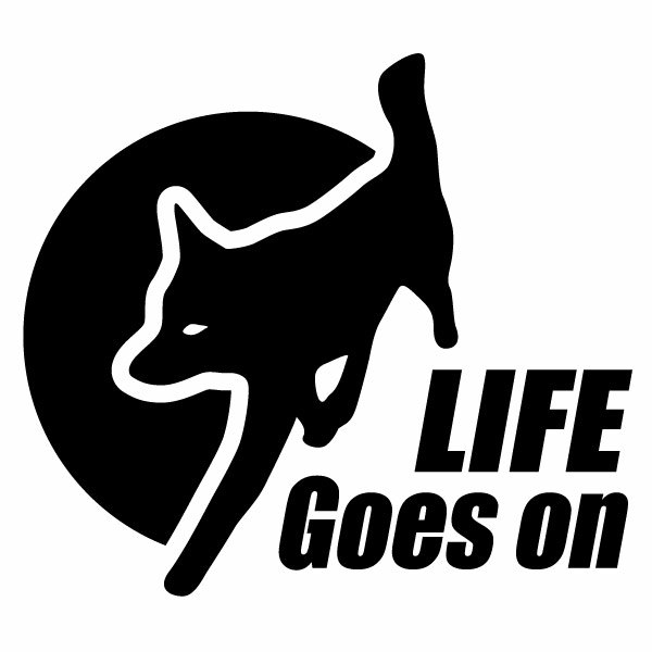 樂天商城 - カッティングステッカー Life Goes on GEN ver.17（人生は続く）3枚組 幅約10cm×高約9cm ハンドメイド デカール ライフゴーズオン ステッカー アウトドア