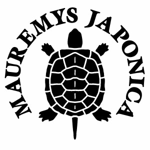 樂天商城 - ゼニガメモチーフ（日本イシガメの子ガメ） ZNG004 カッティングステッカー 2枚組 幅約16.5cm×高約15.6cm ゼニガメモチーフ ハンドメイド