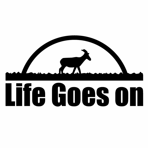 樂天商城 - カッティングステッカー Life goes on ver.09（人生は続く）大判Lサイズ 2枚組 幅約29cm×高約15cm ハンドメイド デカール ライフゴーズオン ステッカー アウトドア