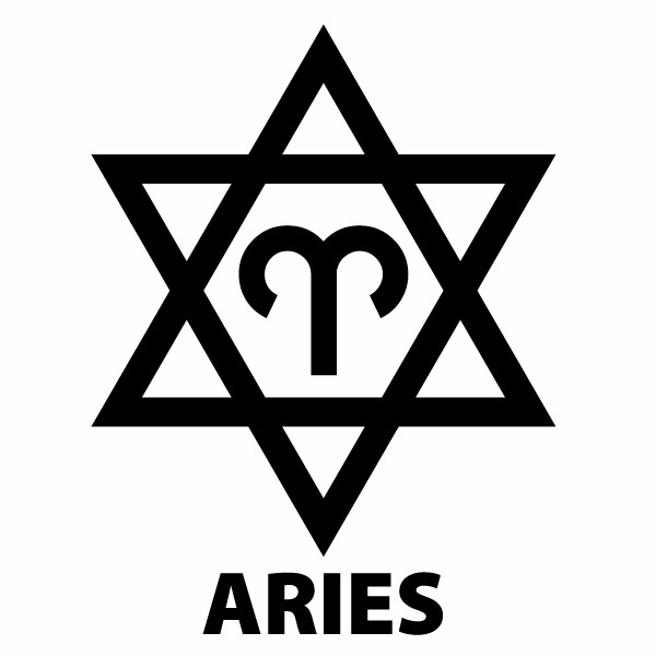 樂天商城 - ARIES（おひつじ座）Ver.07 カッティングステッカー 2枚組 幅約12.5cm×高約16.5cm ハンドメイド 牡羊座 星座ステッカー 車 ウインドウステッカー