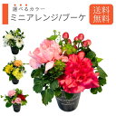 【選べるカラー】おまかせアレンジ/ブーケ Mサイズ 送料無料 生花 アレンジ ギフト 誕生日 プレゼント アレンジメント お誕生日 お祝い 開店祝い 退職祝い ...