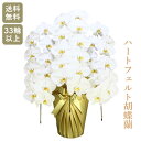 ハートフェルト胡蝶蘭園 白大輪 3本立33輪以上 【お祝い プレゼント 花 贈り物 開店 開院 開業 移転 就任 昇進 お供え 受職 退職 栄転 合格 当選 周...