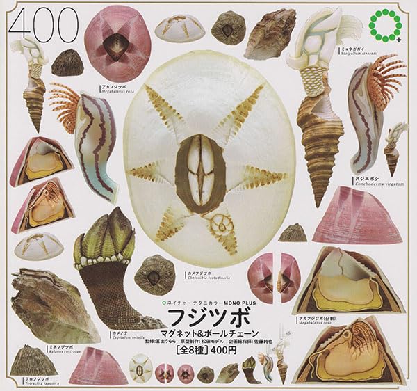 いきもん ネイチャーテクニカラー MONO PULS フジツボ マグネット＆ボールチェーン × 全8種セット フルコンプ ガチャガチャ カプセルトイ