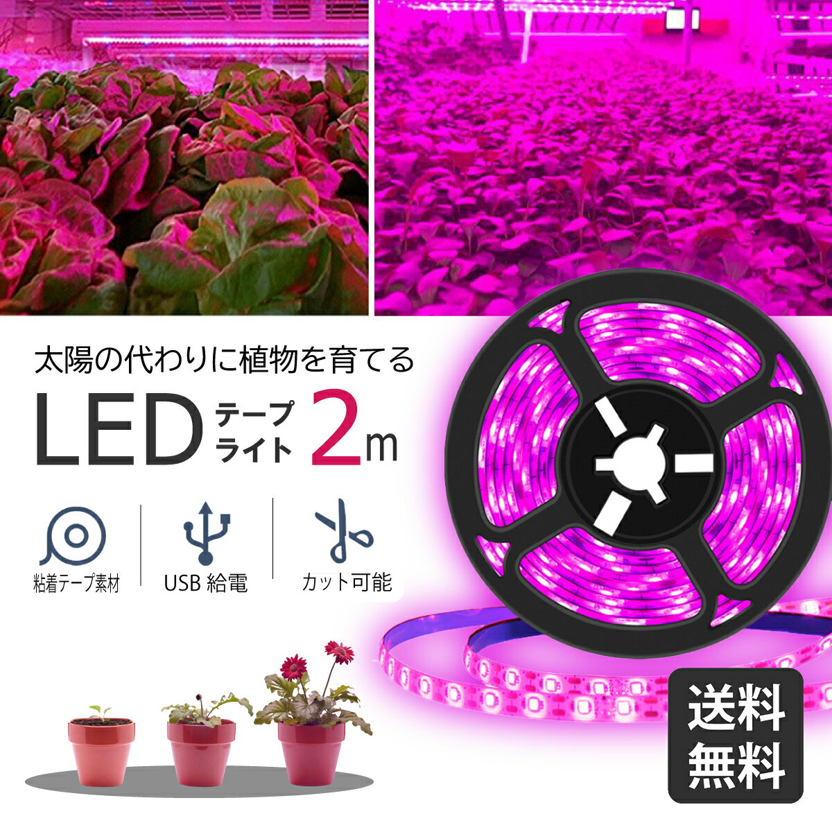 【送料無料】植物育成ライト テープ 植物栽培ライトled 防水 USB対応 2m植物育成led 植物成長促進用ランプ 家庭菜園 LEDテープライト防水 USB対応 グローライト ストリップライト 水耕栽培 植…