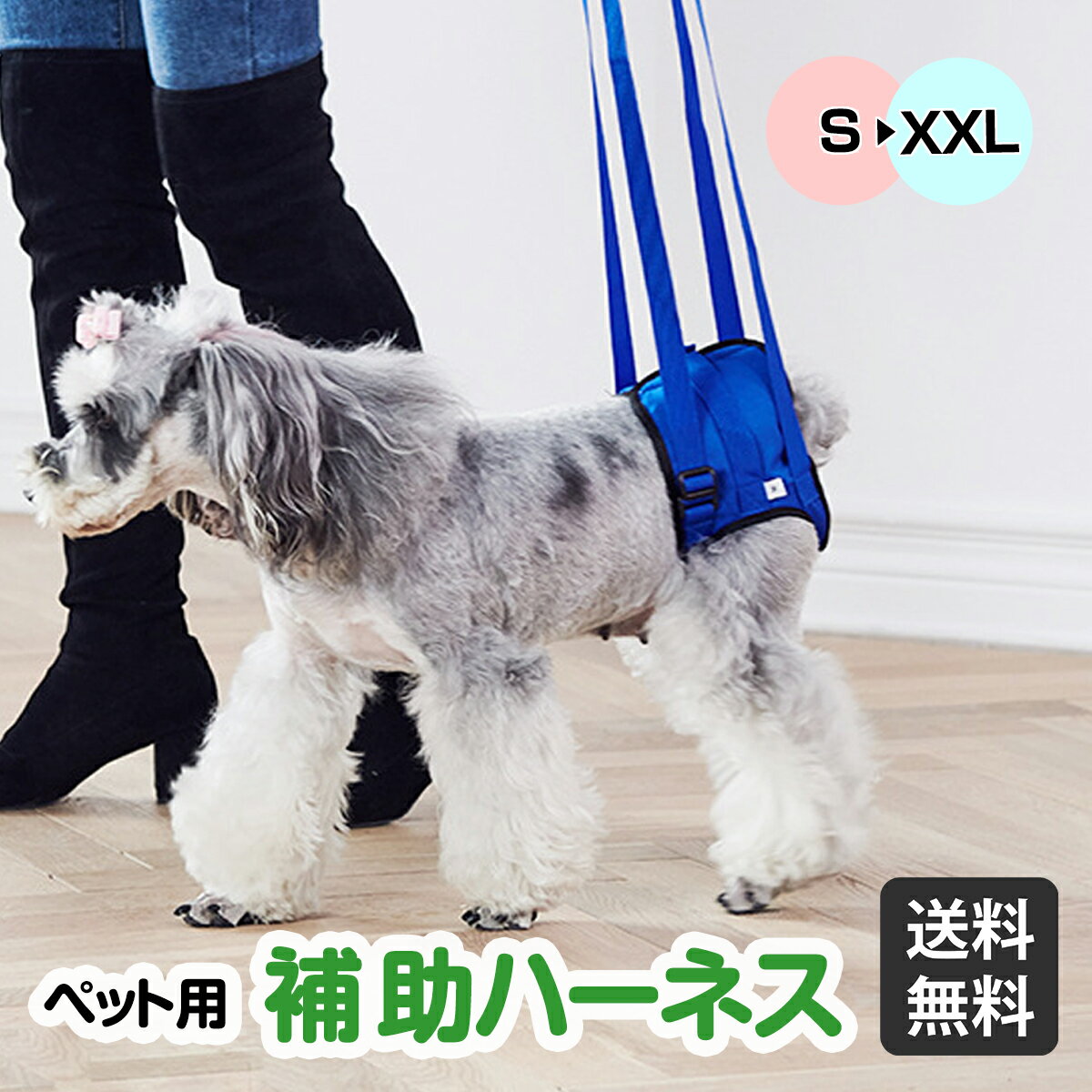 【anifull 公式】 アニサポ ハーレスト ブラック Mサイズ アニフル ダイヤ工業 日本製 犬用品 犬用 犬 気管にやさしい ハーネス 気管 咳 呼吸器 犬用ハーネス 気管に優しい 気管に優しいハーネス アニサポハーレスト M