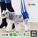 【クーポン使用100円OFF】【楽天ランキング1位受賞】犬 後ろ足 ハーネス 犬 歩行補助 ハーネス 介護 ハーネス 大型 犬 介護用品 小型犬 歩行補助 散歩...