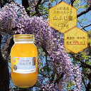 純粋はちみつ 山ふじ蜂蜜 1.2kg 国産 山形県産 非加熱 無添加 純度90%以上 令和7年産 送料無料(一部地域を除く)