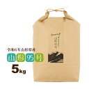 お米 5kg 山形95号 山形県 令和6年産 送料無料(一部地域を除く) 精白米