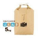 お米 5kg はえぬき 山形県 令和6年産 送料無料(一部地域を除く) 精白米