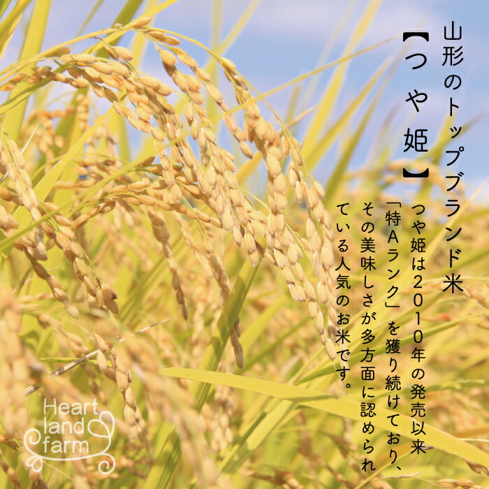 お米 300g つや姫 山形県産 精白米 2合 お試しサイズ メール便 送料無料 粗品 景品 ポイント消化