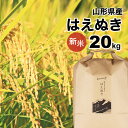 はえぬき 20kg（10kg×2袋） 新米 山形県 令和元年産 精白米