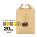 お米 20kg（10kg×2） コシヒカリ 山形県 令和5年産 送料無料（一部地域を除く） 精白米