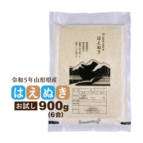 お米 はえぬき お試し米 900g 山形県 令和5年産 精白米 真空パック 送料無料 1kg以下 ポイント消化