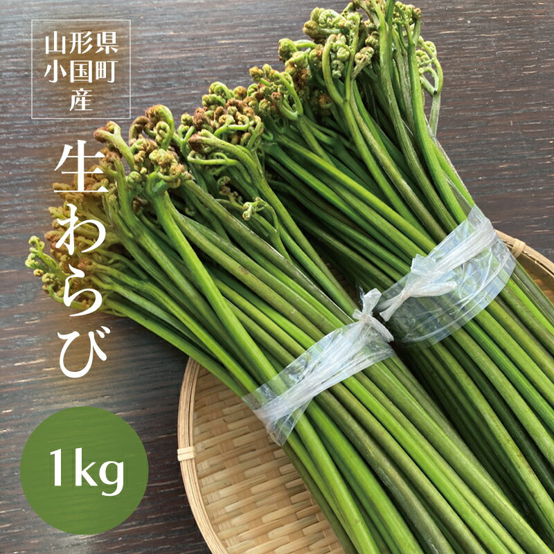 山菜 揚げこごみ 200g 山の幸 惣菜