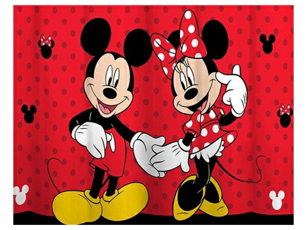 Disney ディズニー ミッキー＆ミニー マウス シャワーカーテン 約178×182cm
