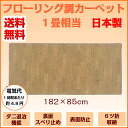 【送料無料】【在庫有り】【日本製】 三京 フローリング調 ホットカーペット 1畳相当(182×85cm) HT-10FL 防水・6時間自動切タイマー仕様