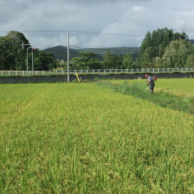 令和7年産 北海道産 特別栽培米（減化学肥料・減農薬）ななつぼし 2kg 宗片和幸さん作