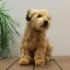 犬 ぬいぐるみ ノーフォークテリア いぬ イヌ リアル 本物 そっくり かわいい \楽天ランキング1位!/ 12,870円