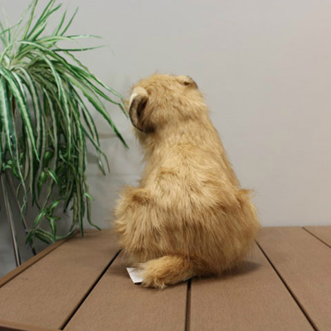 犬 ぬいぐるみ ノーフォークテリア いぬ イヌ リアル 本物 そっくり かわいい ＼楽天ランキング1位！／ 2