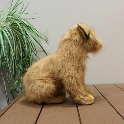 犬 ぬいぐるみ ノーフォークテリア いぬ イヌ リアル 本物 そっくり かわいい ＼楽天ランキング1位！／ 3
